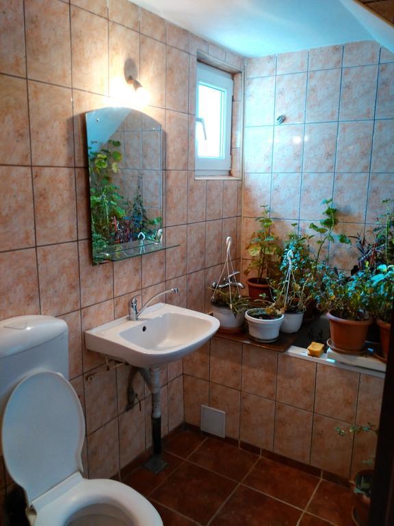 Vila Marcela Buşteni Pokój zdjęcie