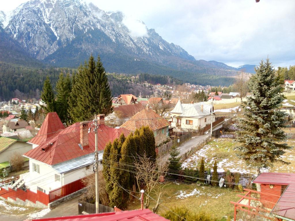 Vila Marcela Buşteni Pokój zdjęcie