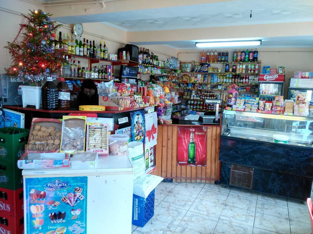 Vila Marcela Buşteni Pokój zdjęcie
