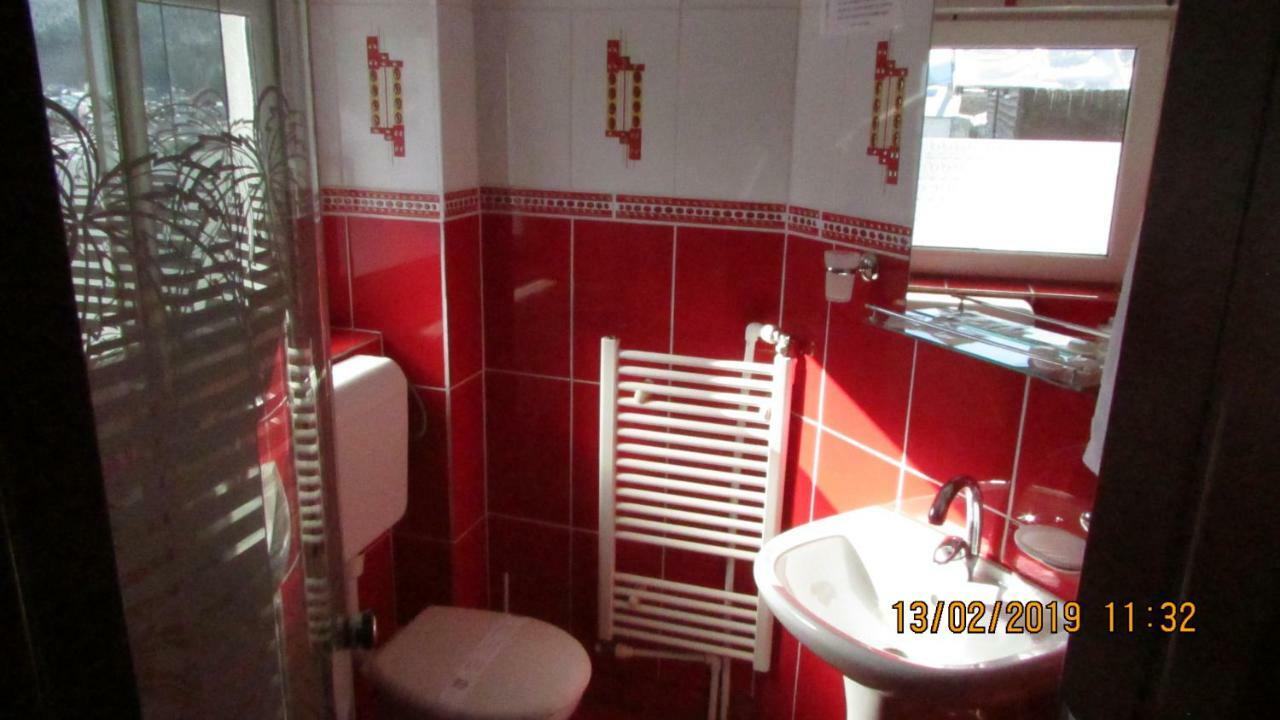 Vila Marcela Buşteni Zewnętrze zdjęcie